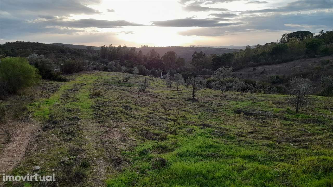 Moradia em Banda T4 Venda em Castelo Branco,Castelo Branco - Grande imagem: 4/42
