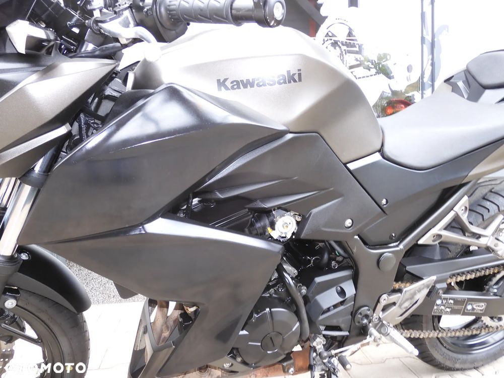 Kawasaki Z - 30