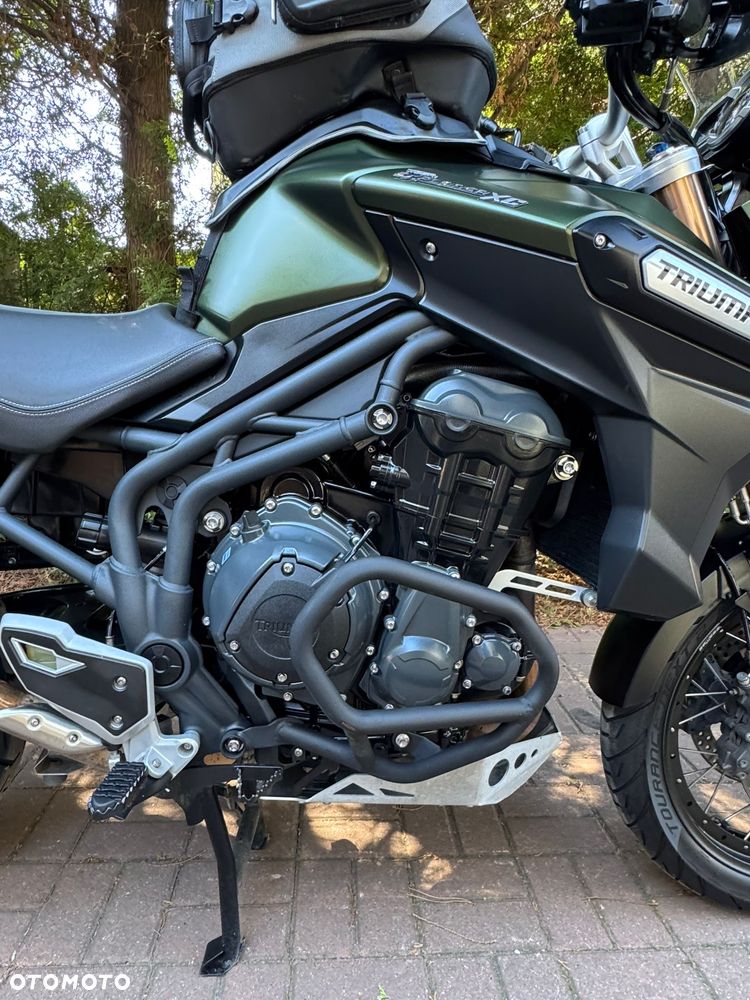 Triumph Tiger - 3