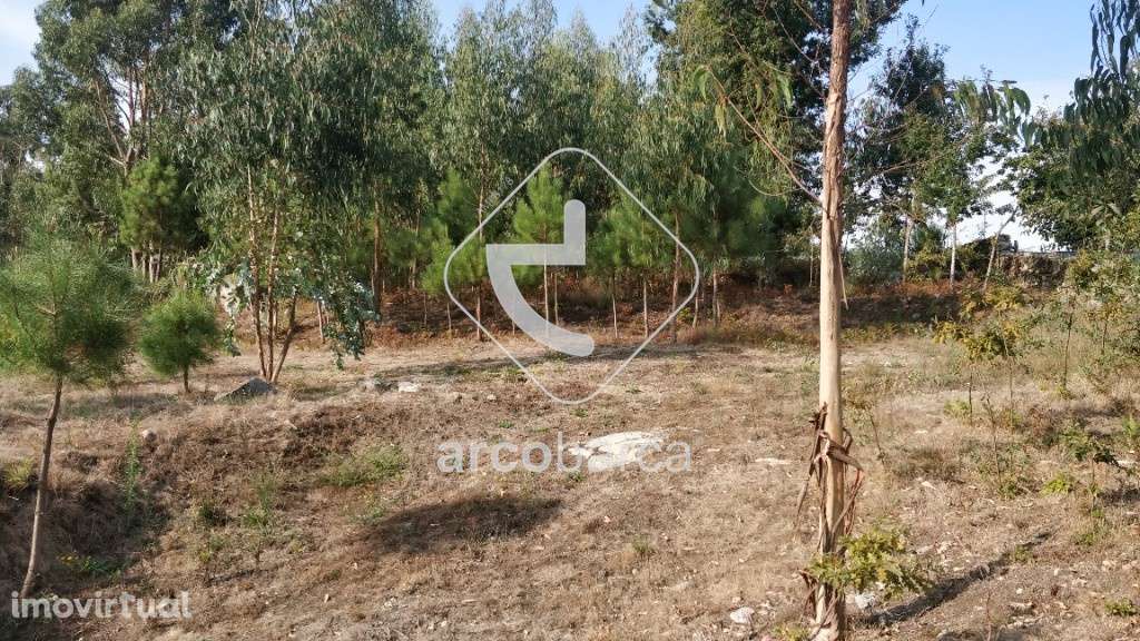 Terreno com 2500m2 - em zona de urbanização (possibilidade de construç - Grande imagem: 2/6