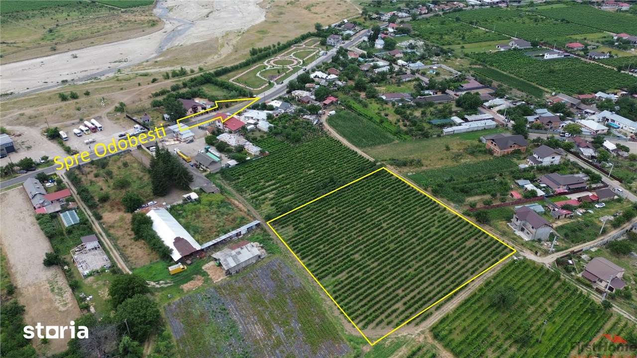 Teren de vanzare, 7425mp,  Unirea Odobesti - Extravilan - Imagine principală: 2/6