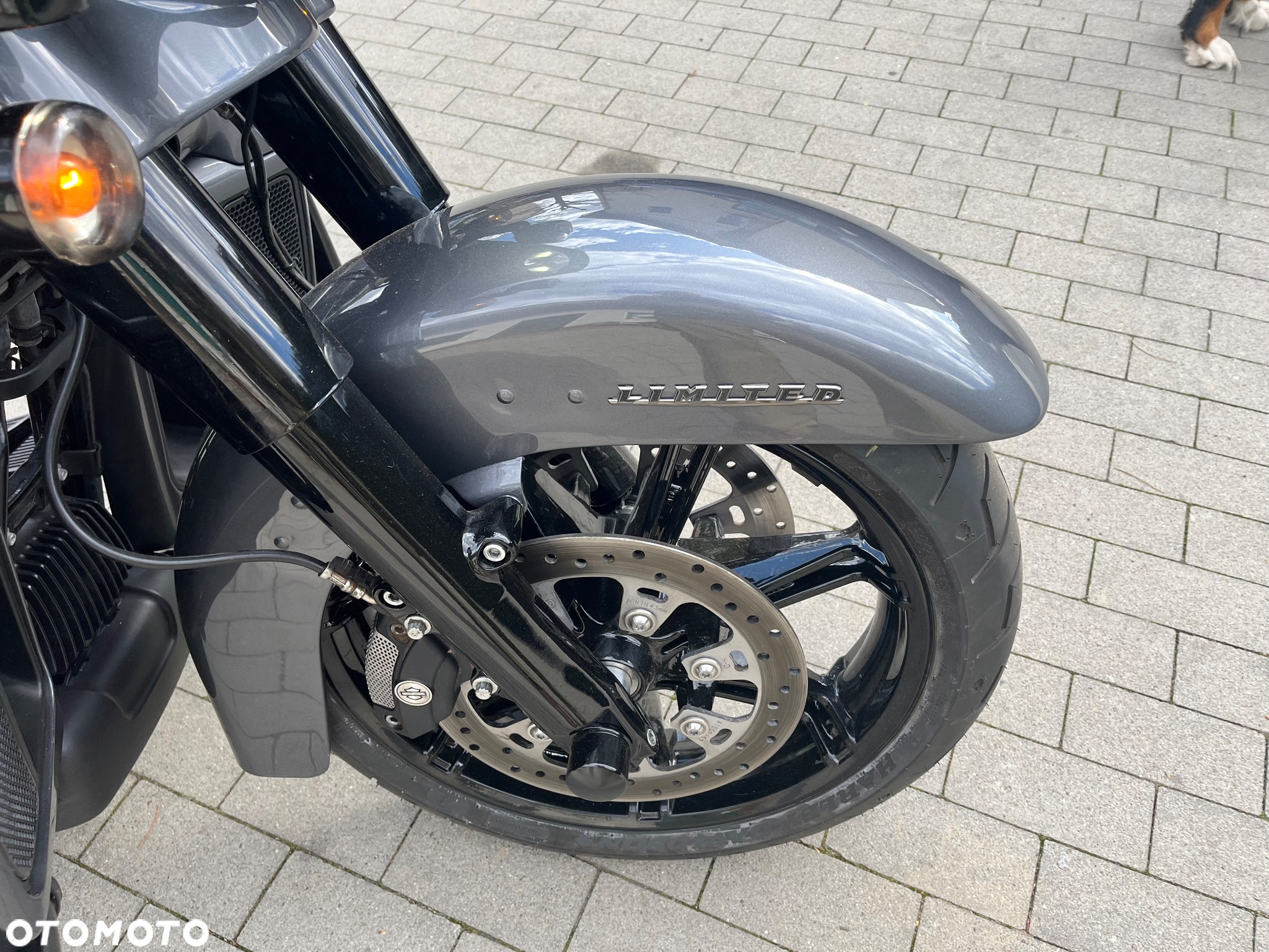 Harley-Davidson FLHS Electra Glide - 10