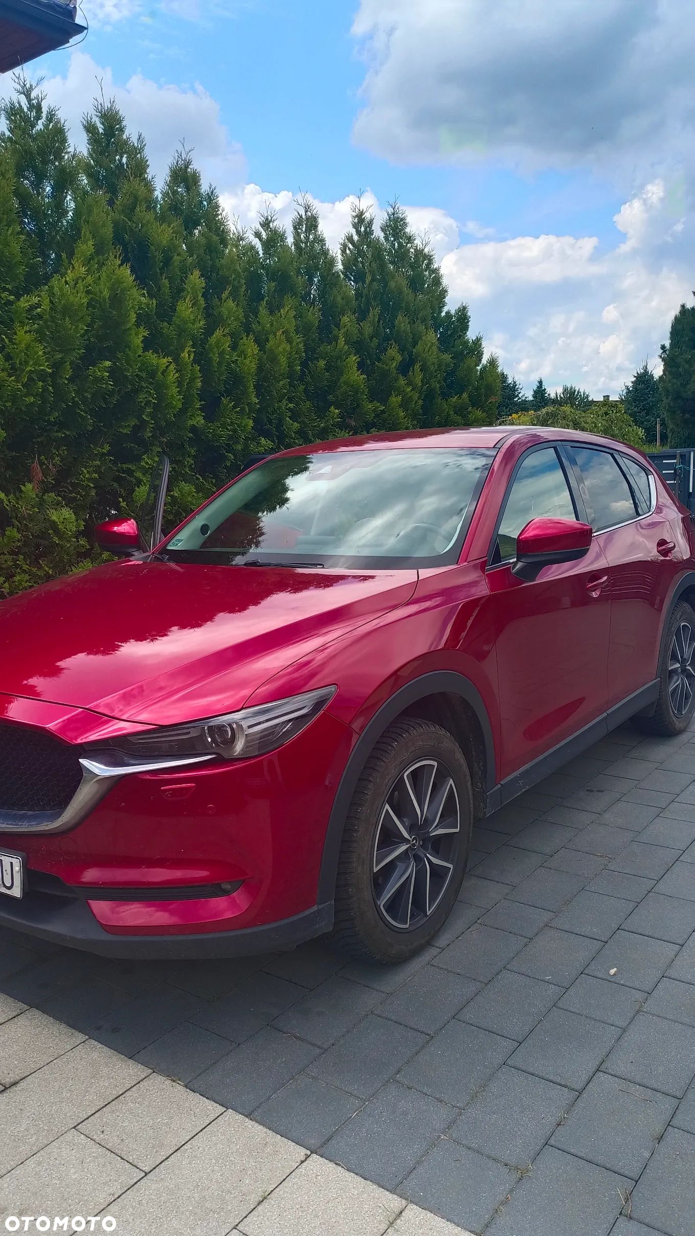 Mazda CX-5 2.5 Skypassion AWD - 1