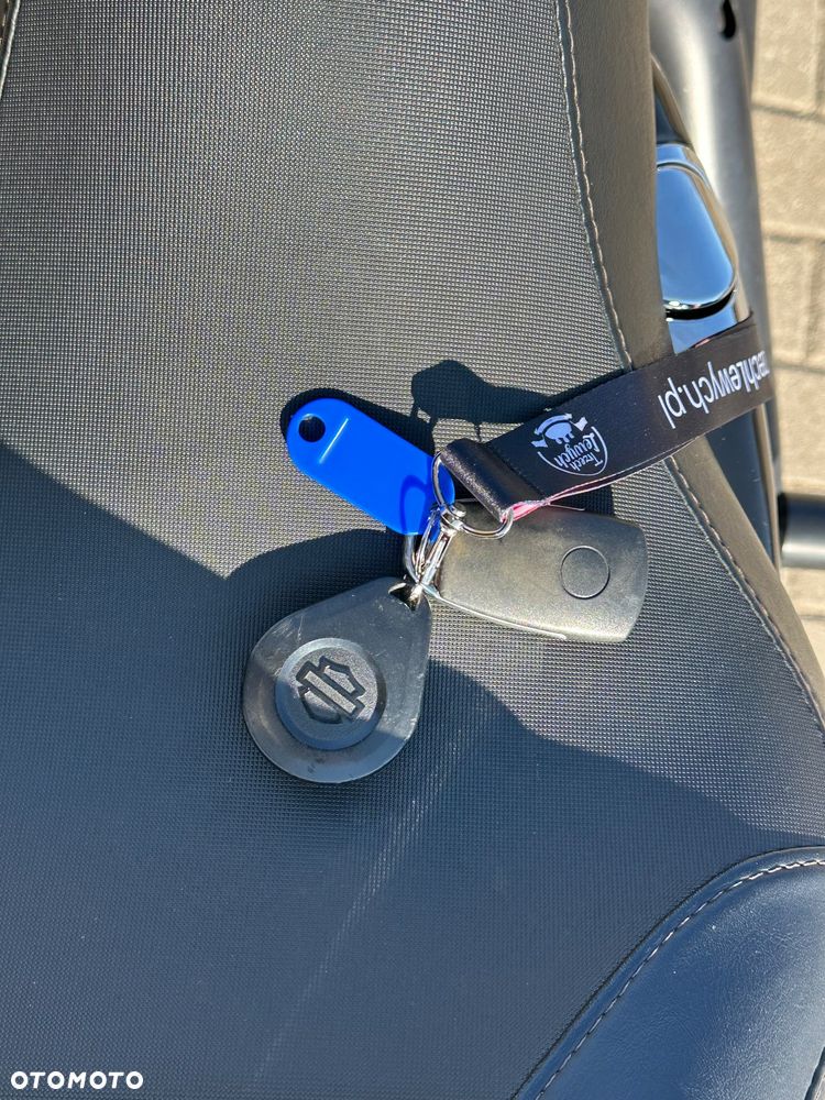 Harley-Davidson Sportster Iron 883 - 19