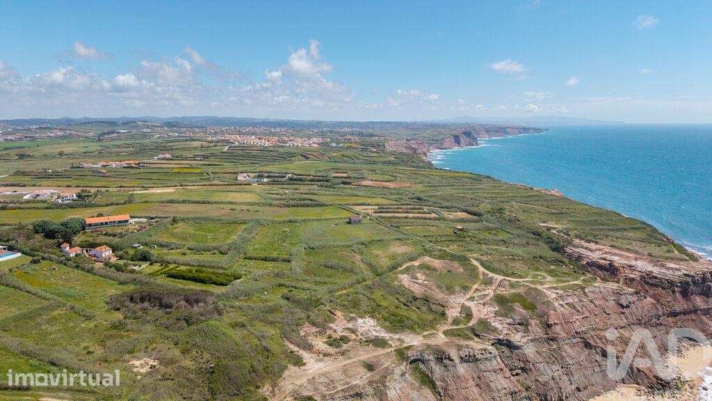 Terreno Agrícola em Encosta do Sol - Grande imagem: 4/39