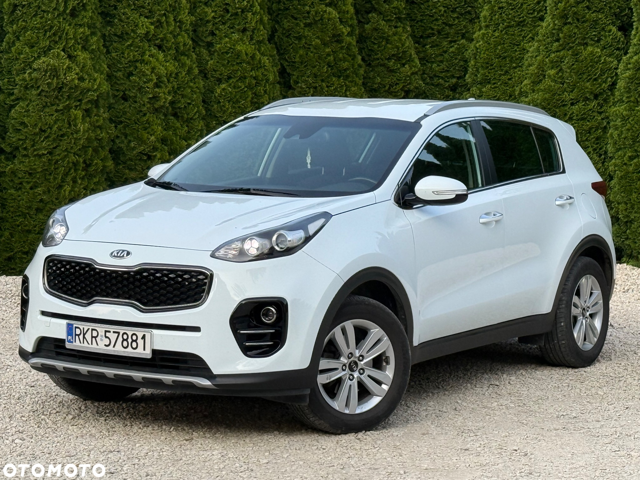 Kia Sportage 1.6 GDI Business Line 2WD - 12