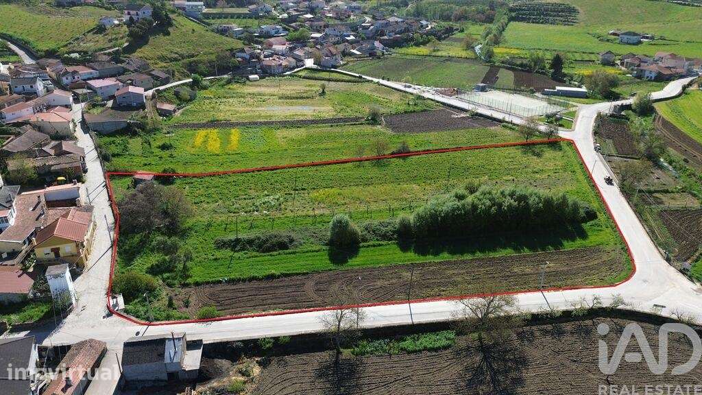 Terreno em Veiga de Lila de 8990,00 m2 - Grande imagem: 2/14