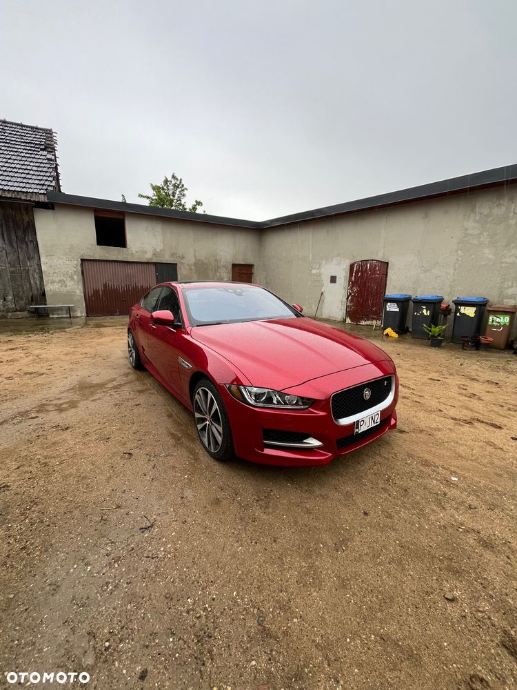 Jaguar XE - 13