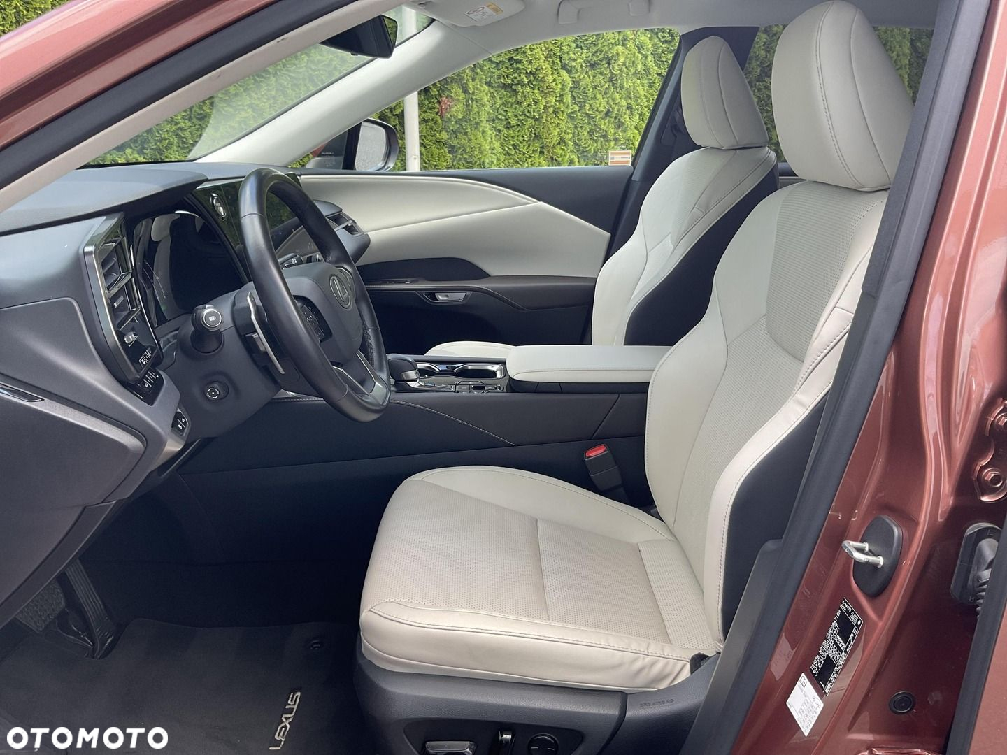 Lexus RX - 11