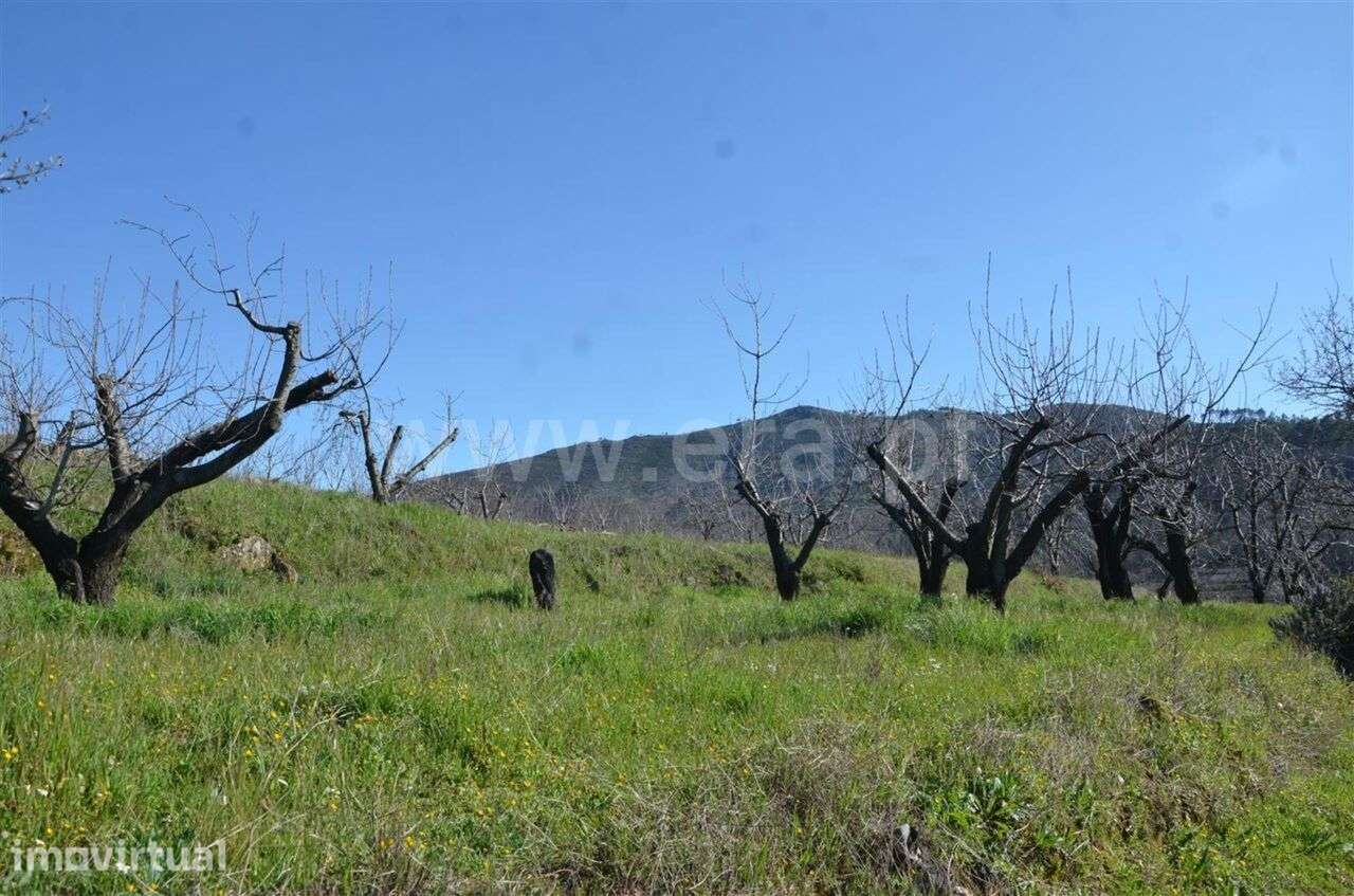 Quinta / Fundão, Aldeia de Joanes - Grande imagem: 4/12