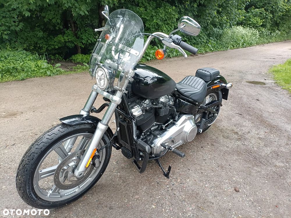 Harley-Davidson Softail Standard - 8