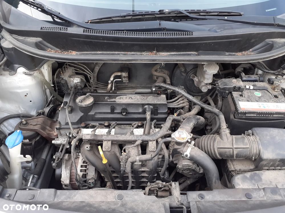 Kia Rio - 16