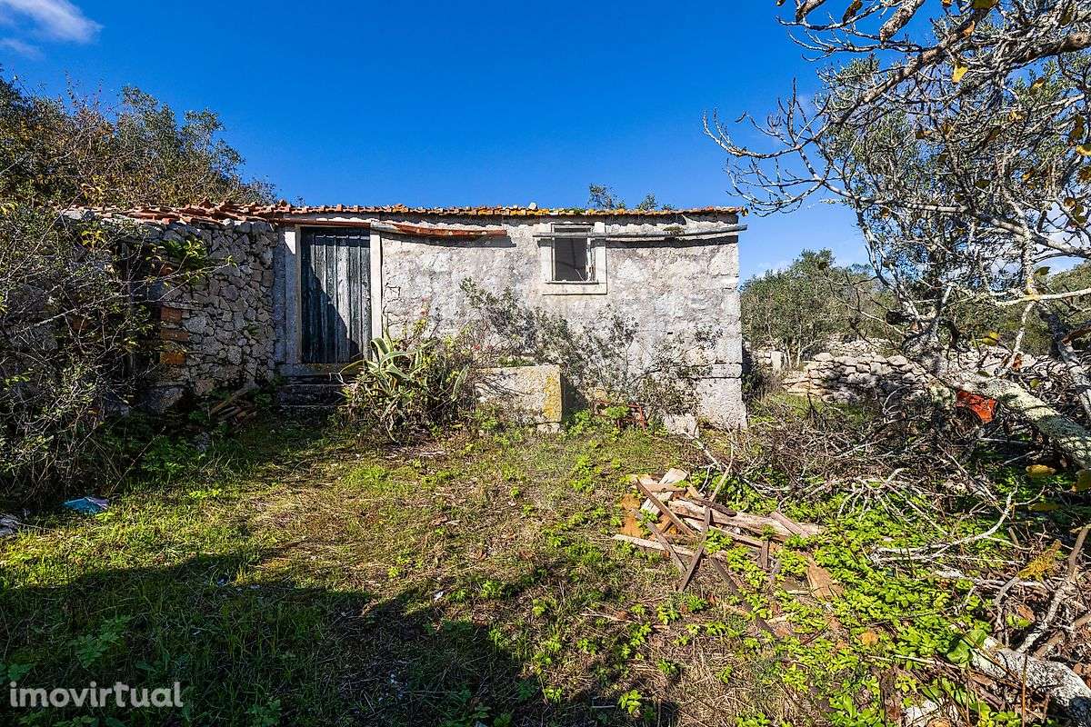 Moradia T3 para venda - Grande imagem: 2/29