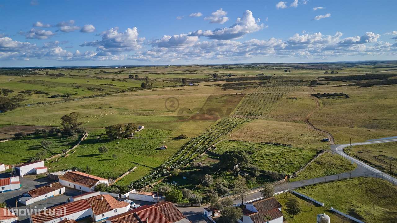Terreno rústico 5,575 ha, Plantação de Figueira Índia, São Marcos da A - Grande imagem: 2/39