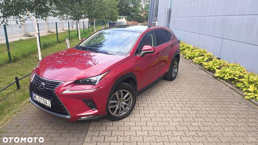 Lexus NX 300h Executive Line - 9
