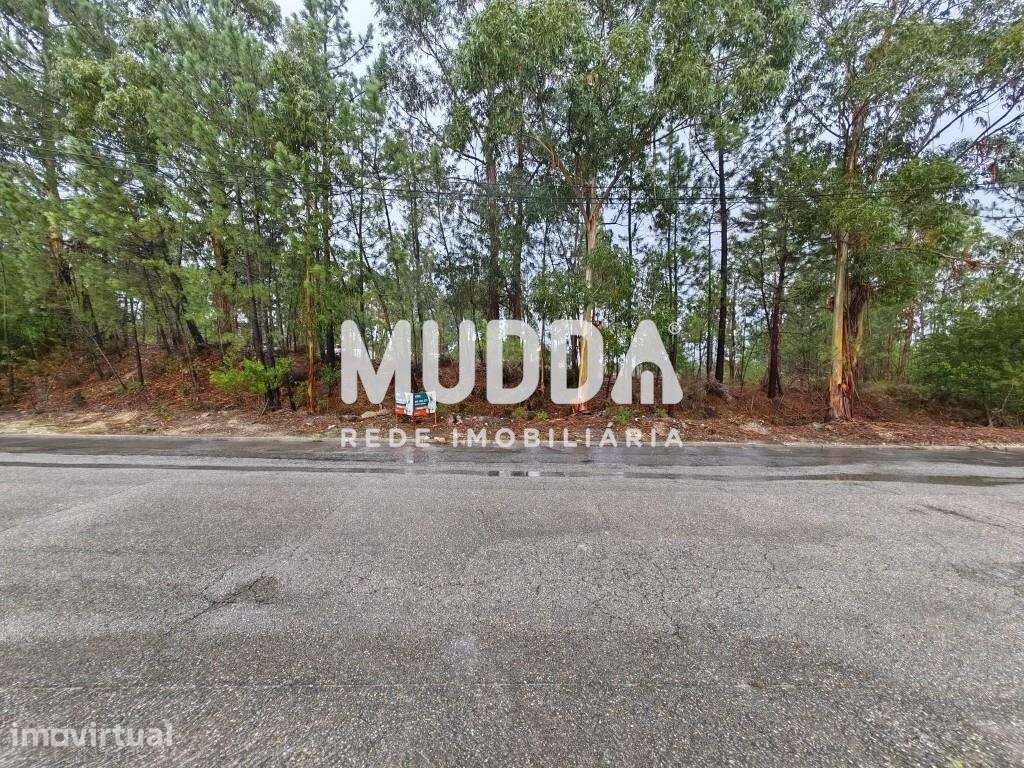 Terreno Industrial, A1 Saída Aveiro-Sul - Grande imagem: 4/5