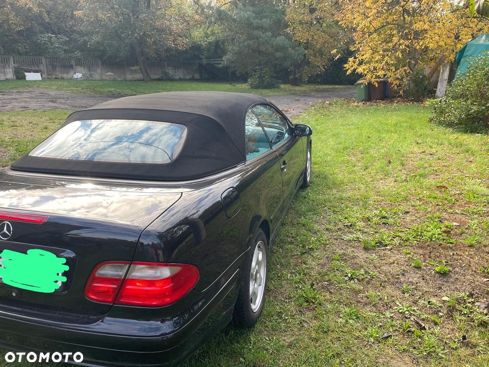 Mercedes-Benz CLK - 19