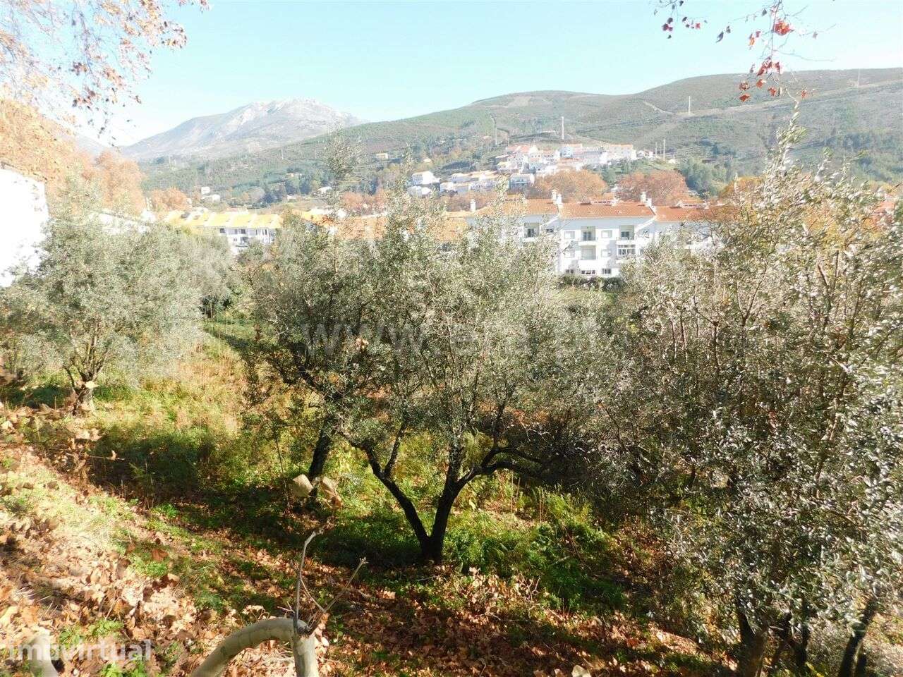 Terreno / Covilhã, Unhais da Serra - Grande imagem: 3/13