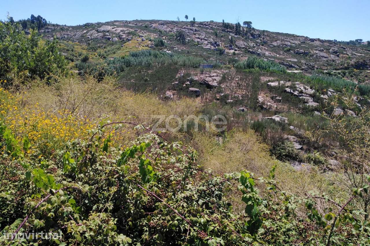 Terreno 2200m2 em Lagares da Beira - Coimbra - Grande imagem: 4/15