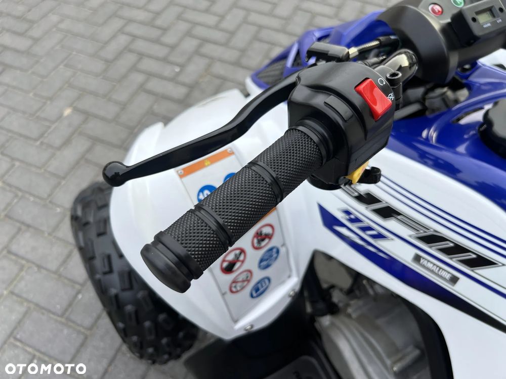 Yamaha Raptor - 7