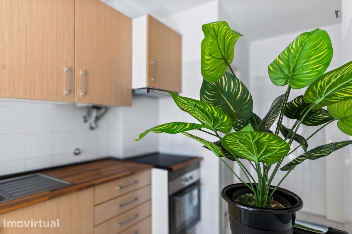 Apartamento com 2 quartos - localizado em Carcavelos Lisbon - Grande imagem: 3/26