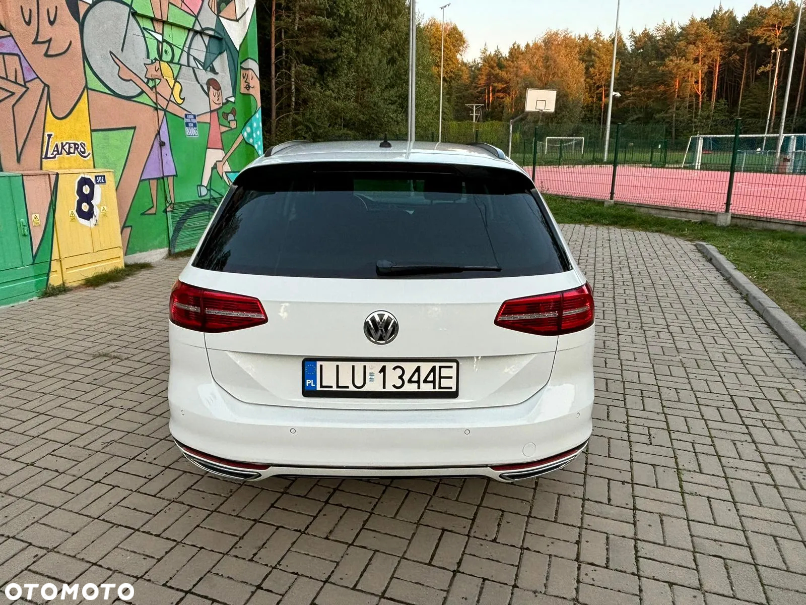 Volkswagen Passat 2.0 TDI Bi-Turbo BMT 4Mot Highline DSG - 6