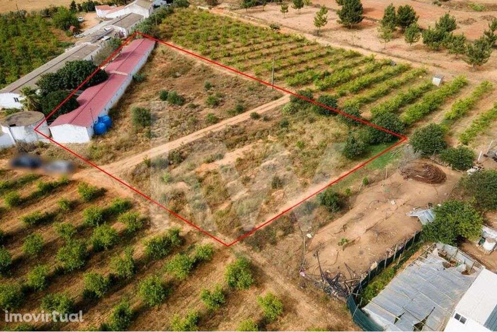 TERRENO AGRICOLA | |COM FURO DÁGUA | POTENCIAL PARA ALOJAMENTO AGRICOL - Grande imagem: 2/21