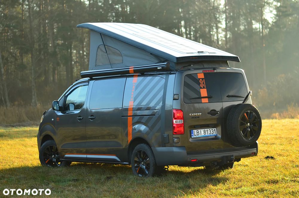 Peugeot Dangel Expert 4x4 - 7