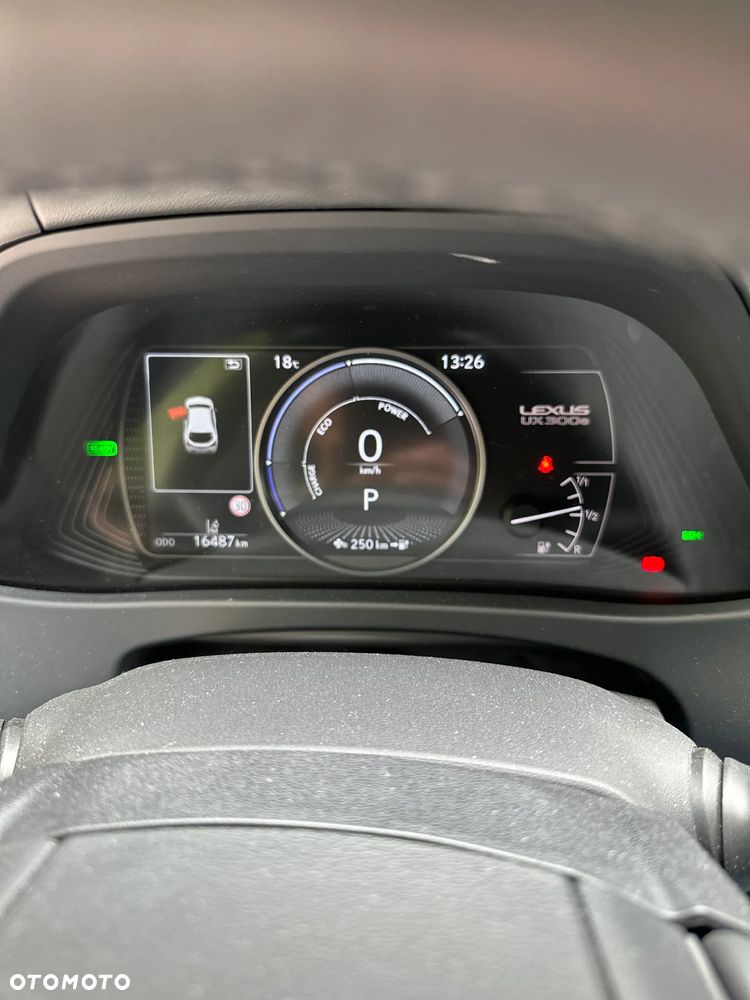 Lexus UX 300e 72.8 kWh Omotenashi 2WD - 17