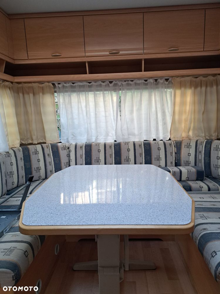 Wilk SPORT 490 - 35