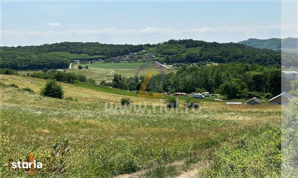 Teren Intravilan 4405 mp - Imagine principală: 5/5