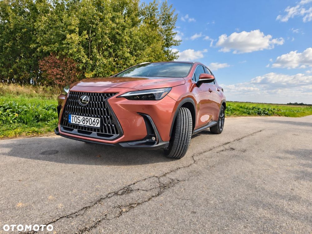 Lexus NX - 16