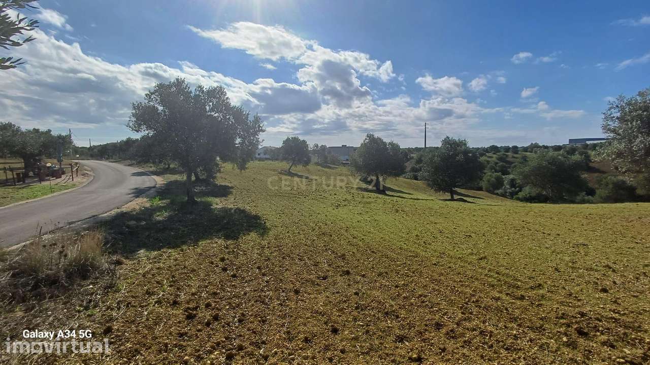 Terreno Rústico em Torres Novas - Oportunidade Única! - Grande imagem: 3/8