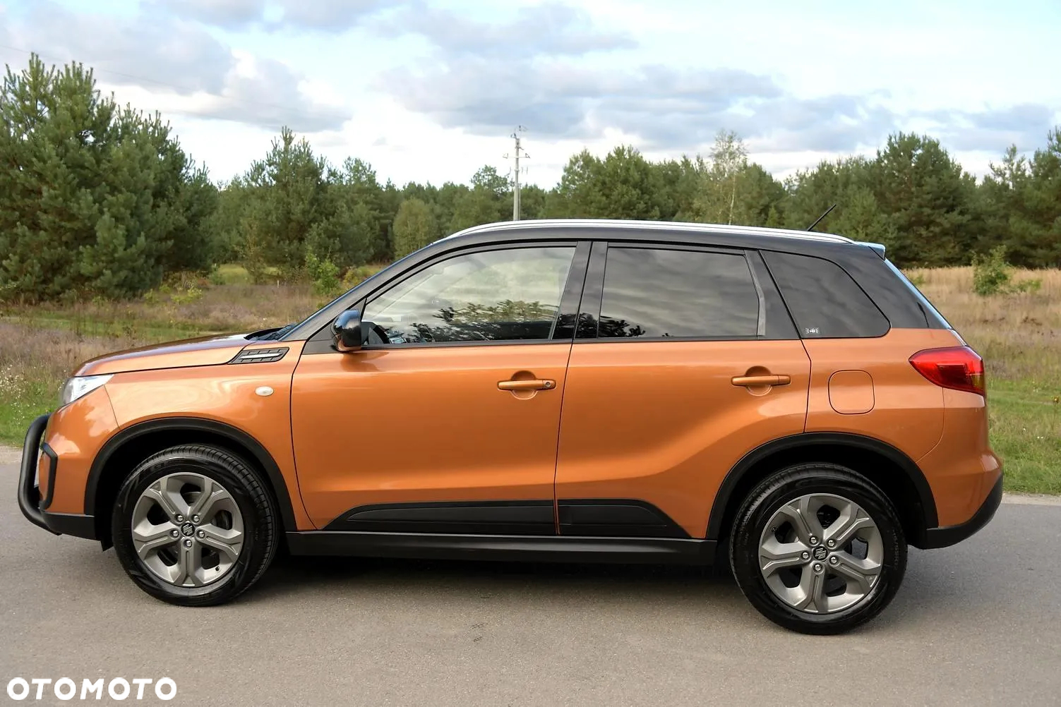 Suzuki Vitara - 3