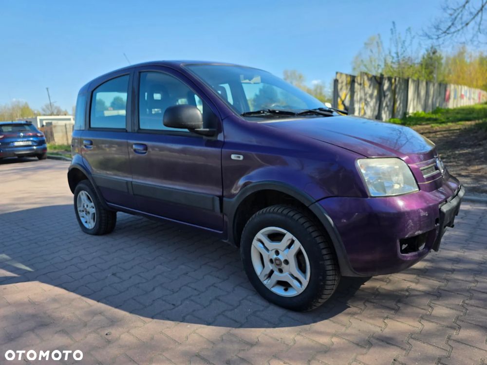 Fiat Panda 1.3 4x4 Multijet - 4