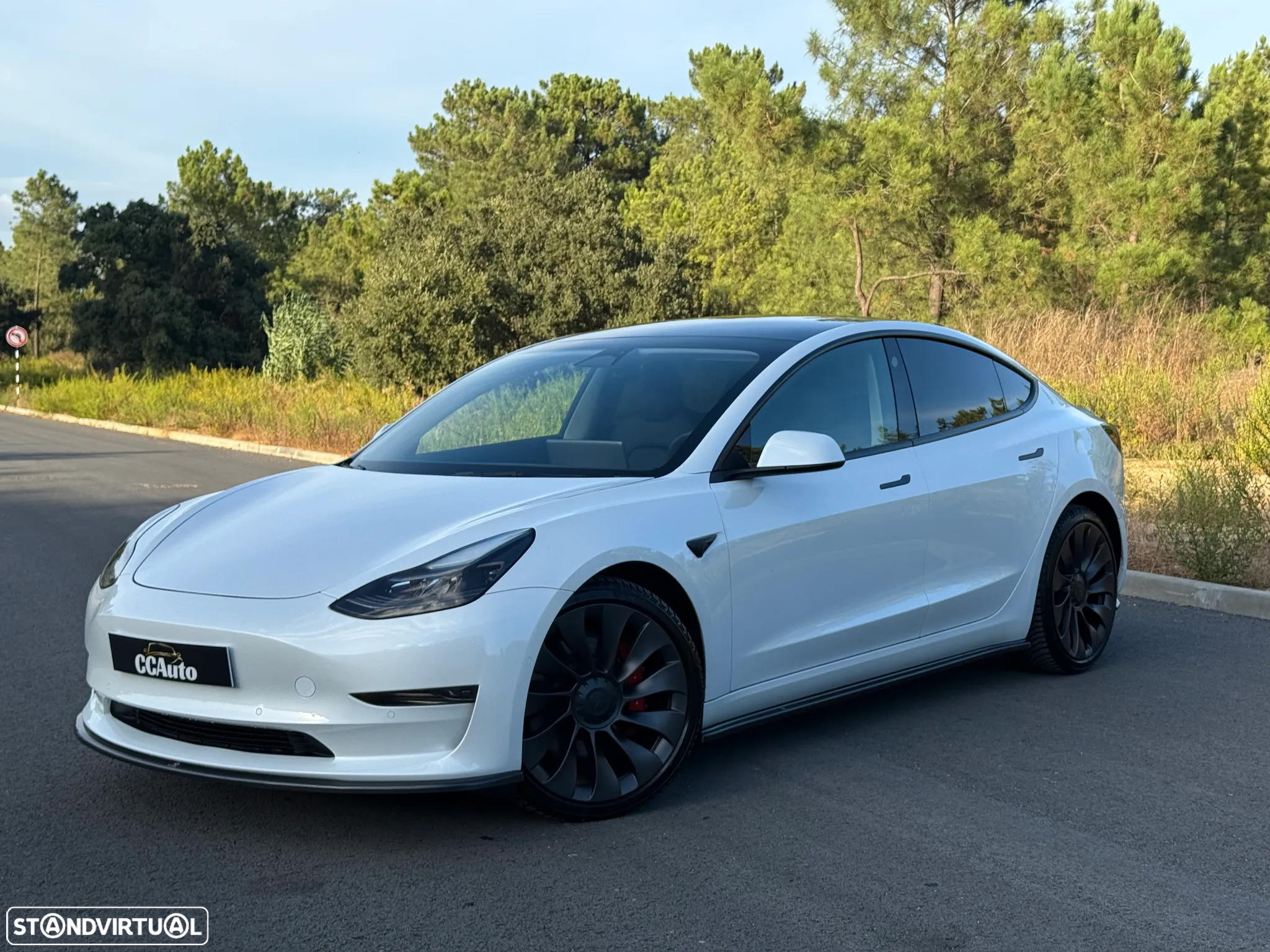 Tesla Model 3 Performance Tração Integral - 2