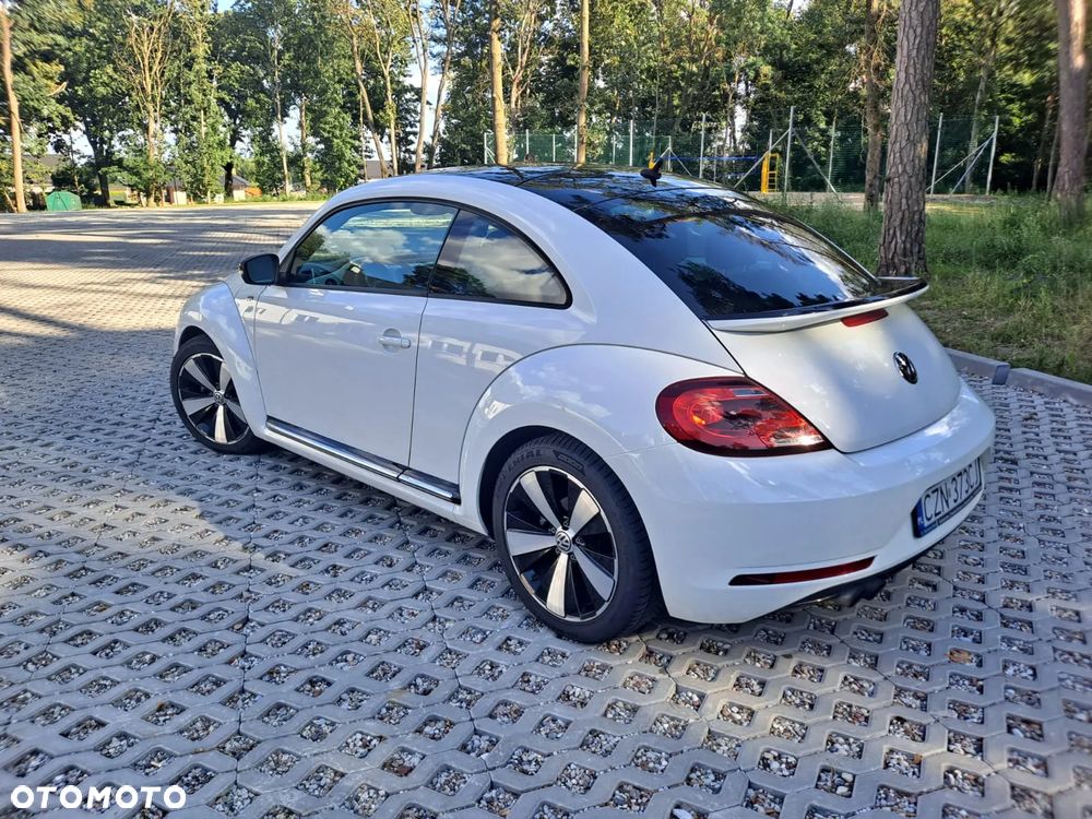 Volkswagen Beetle - 6