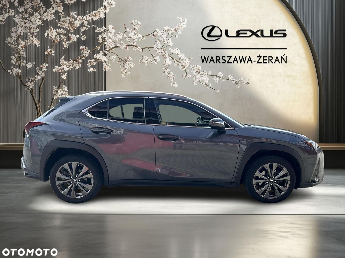 Lexus UX 250h GPF F Sport Design 2WD - 8