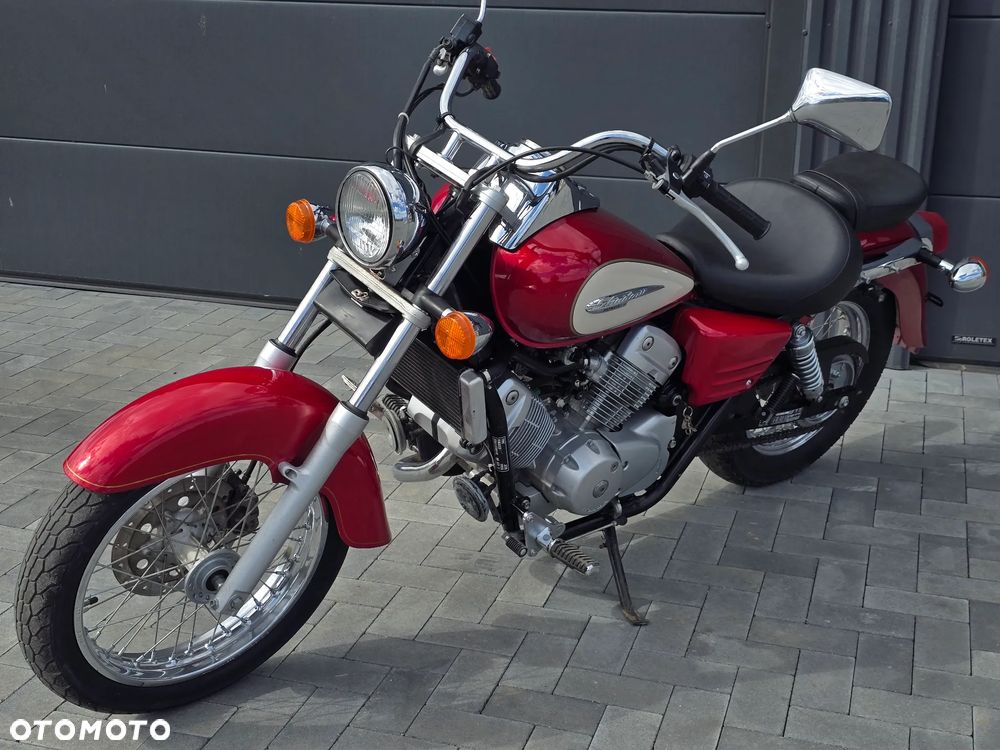 Honda Shadow - 13