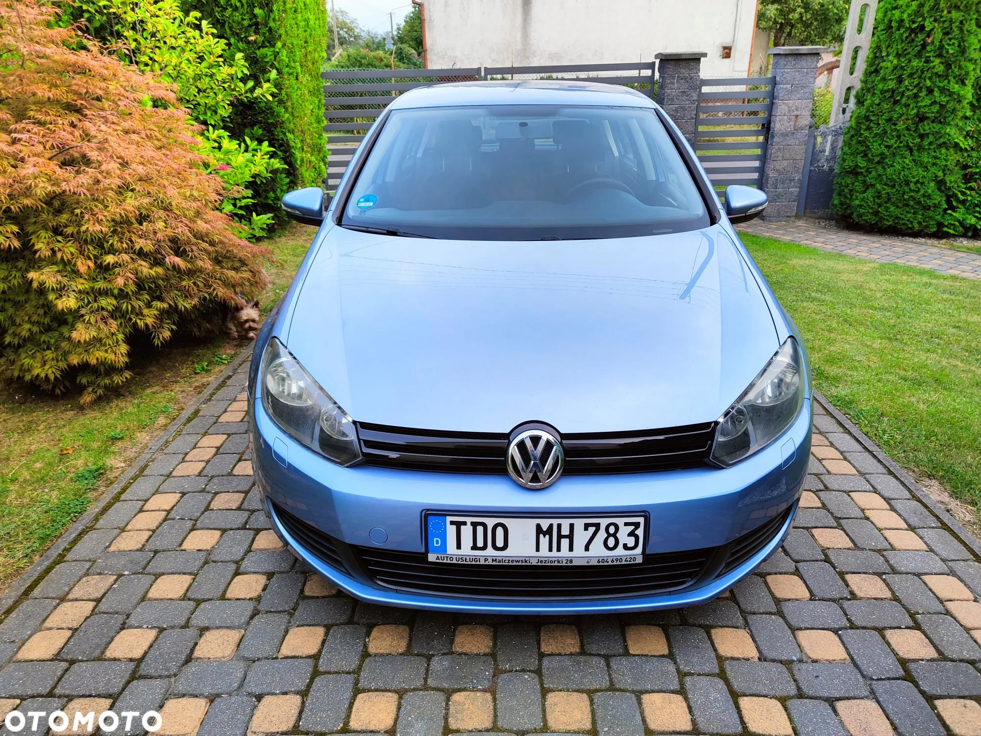 Volkswagen Golf 1.6 Trendline - 2