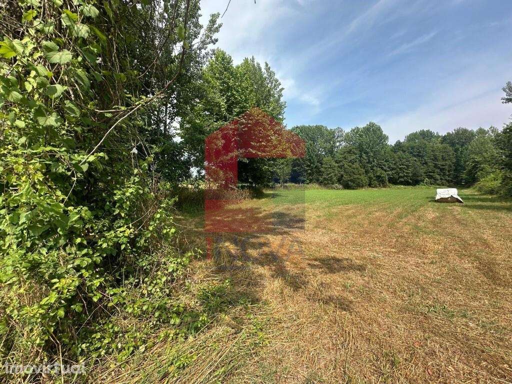 Terreno agrícola, São Paio Merelim - Grande imagem: 2/17