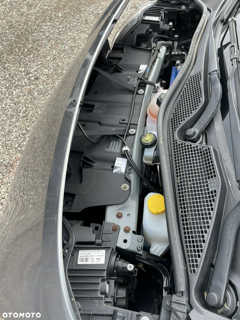 Smart Forfour passion - 13