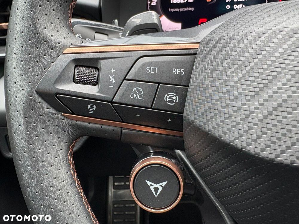 Cupra Terramar 2.0 TSI 4Drive DSG - 26