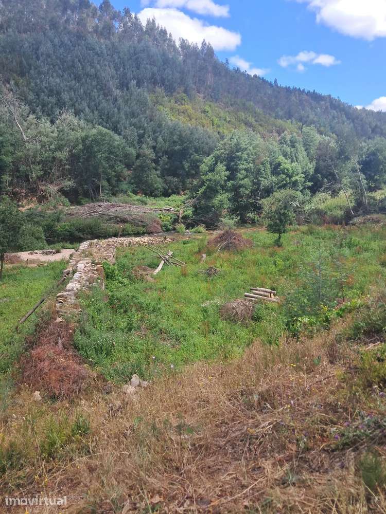 Terreno Rústico com Frente de Rio e Construção de Apoio Agrícola – Arg - Grande imagem: 3/26