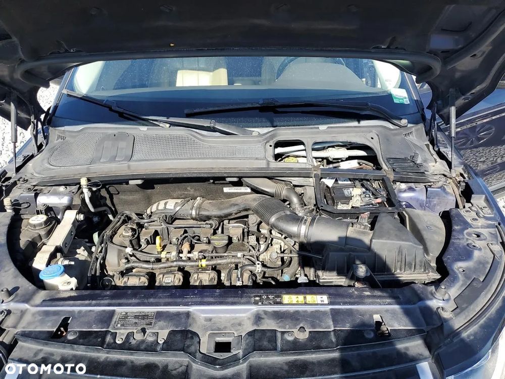 Land Rover Range Rover Evoque P250 R-Dynamic SE - 12