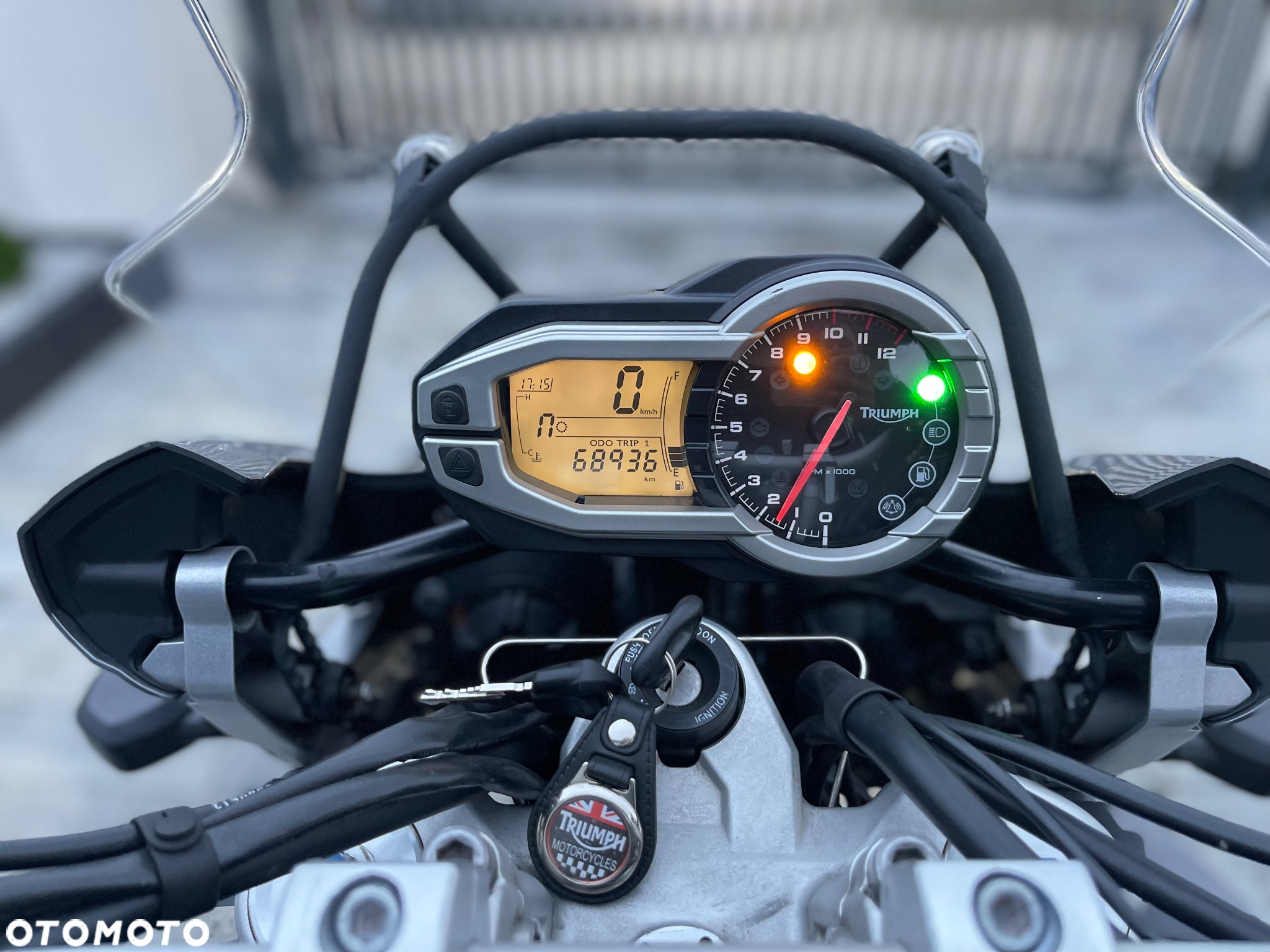 Triumph Tiger - 12