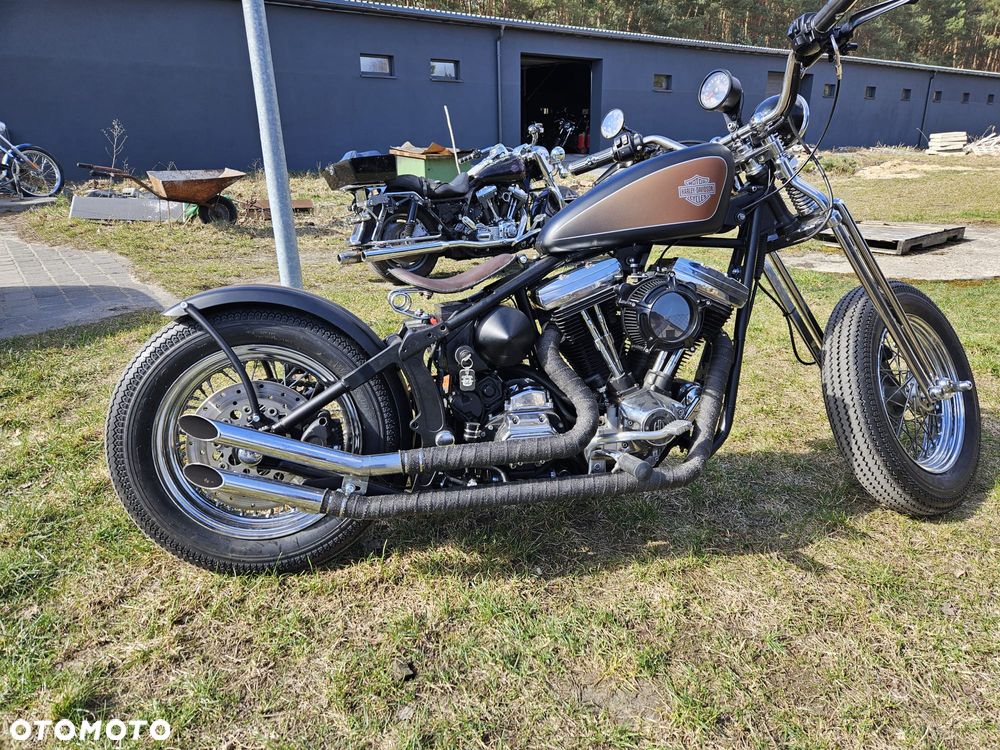 Harley-Davidson Inny - 5