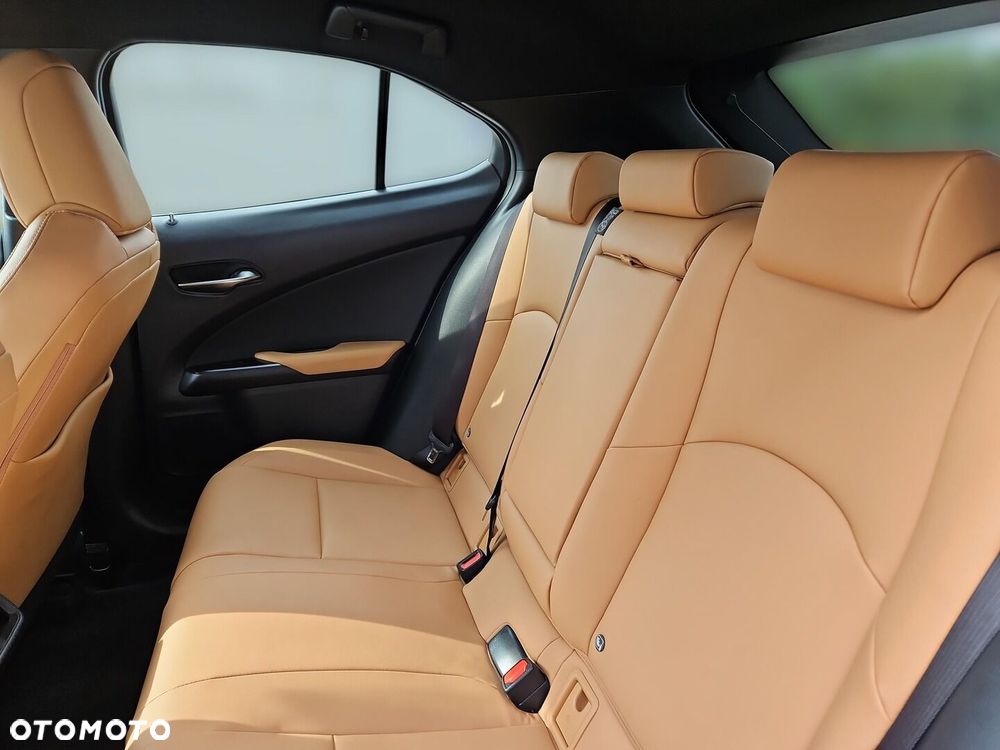 Lexus UX 300h F Sport Design - 23