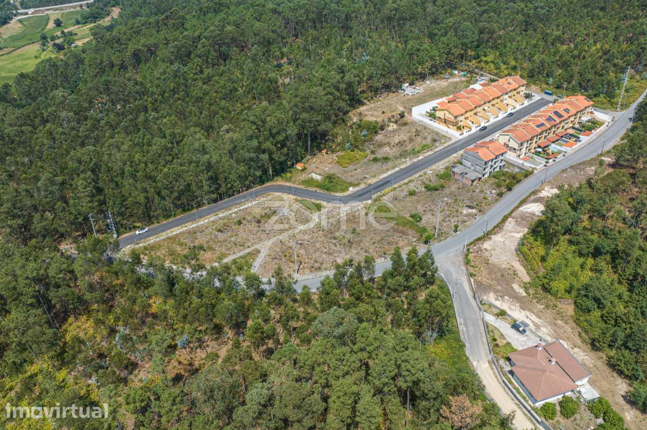 Lote de terreno nº33, em Chão de São Marcos Lugar de Fajões - Grande imagem: 5/16