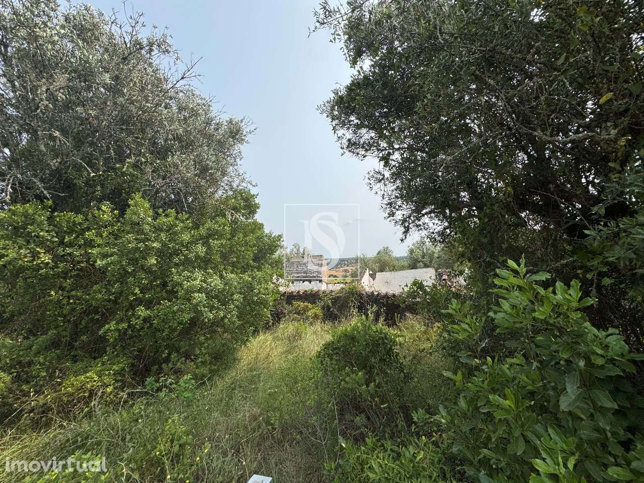 Quintinha em Montargil - Grande imagem: 3/30